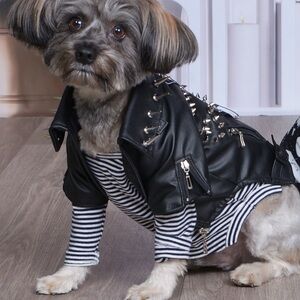 Custom Dog Leather Biker Moto Jacket Studs Punk Goth Costume (small 8-12 lbs)